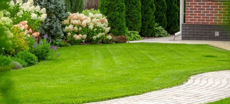 yard
